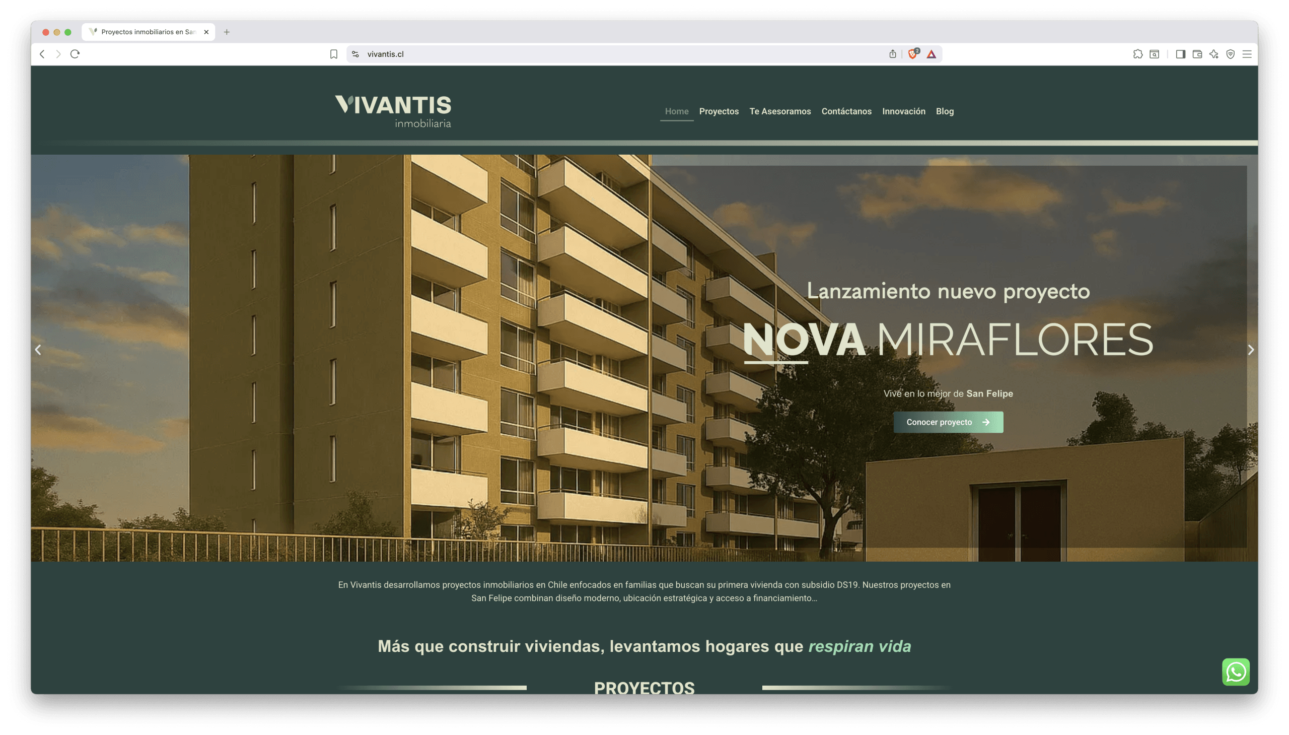 Caso real Vivantis Inmobiliaria marketing digital y diseño web