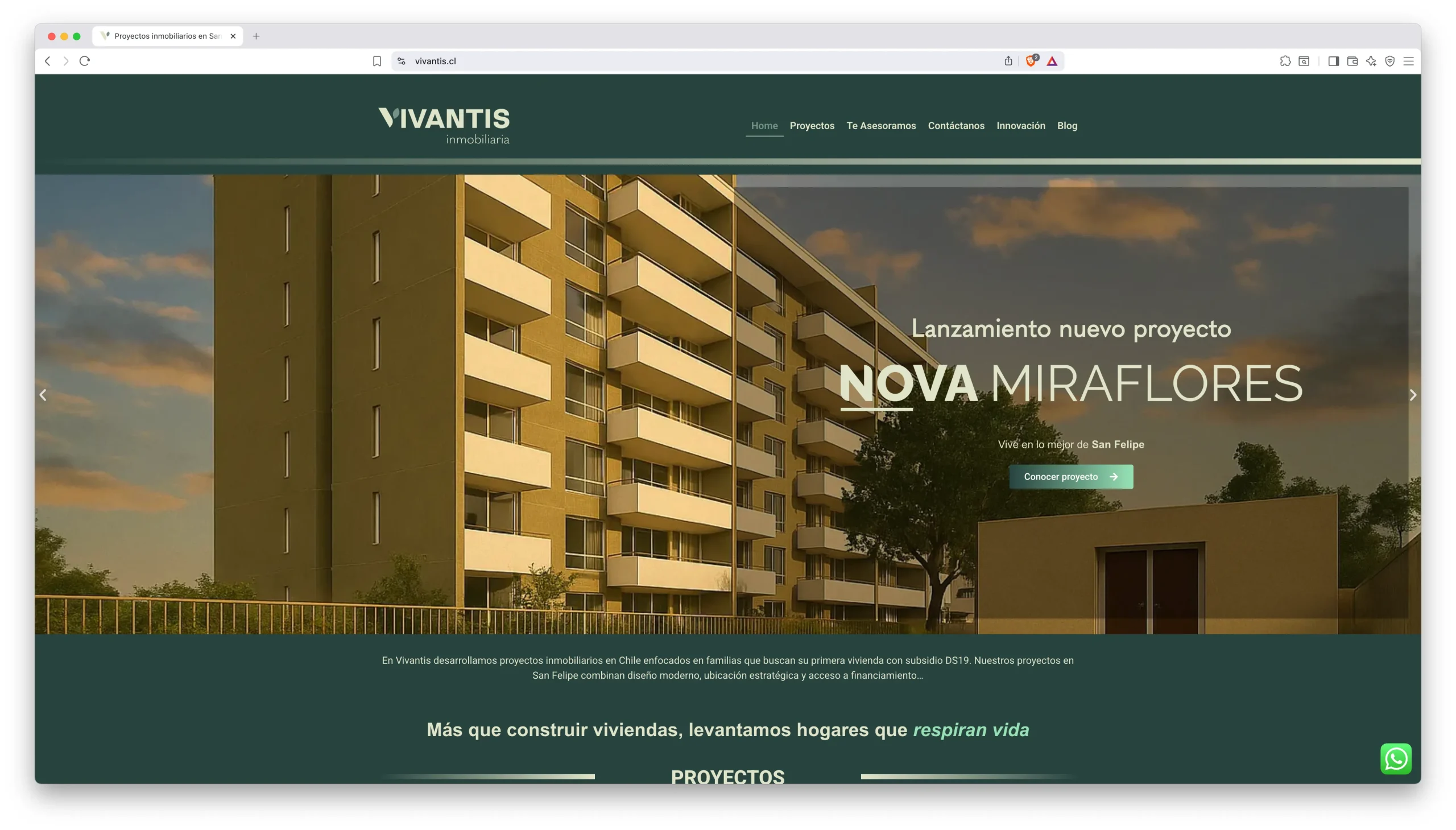 diseño web profesional chile proyecto Vivantis inmobiliaria